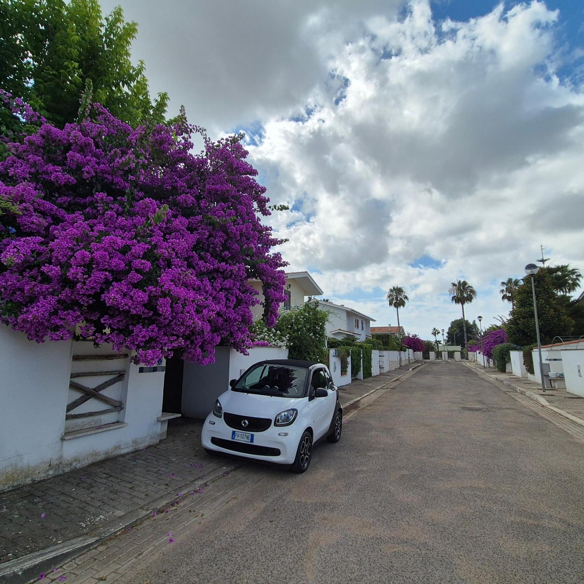 Villa ซาบาอูเดีย ห้อง รูปภาพ