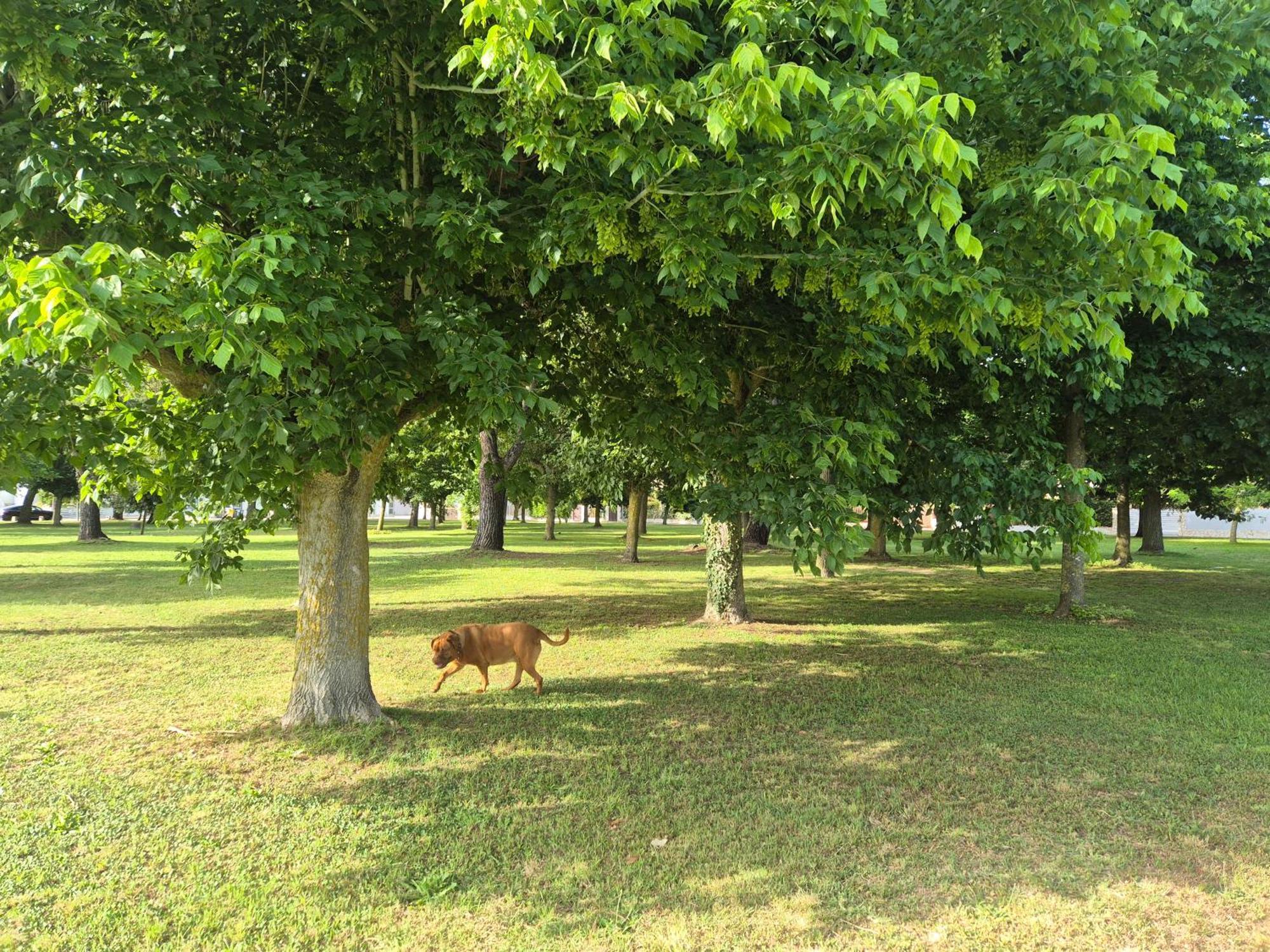 Villa ซาบาอูเดีย ภายนอก รูปภาพ